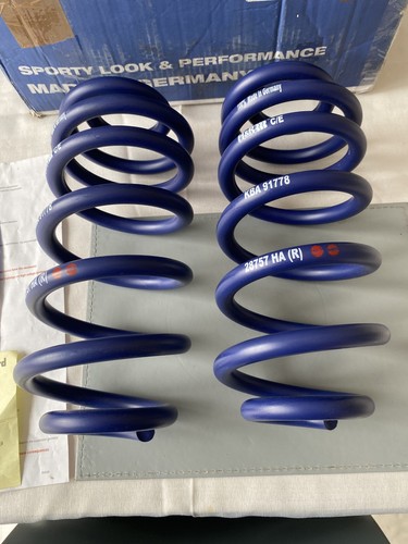 Rear lowering springs - rear,